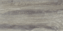 Pločica Forest Ash 30x60 Zorka keramika 1