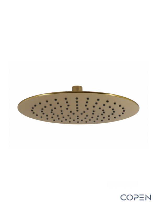 Ruža tuša zlatna Concept C-05-5360BTG