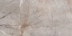 Pločica Belgium Grey glossy 60x120 LV Granito