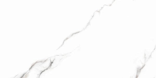 Pločica Leodikya Grey 60x120 Etili (2)
